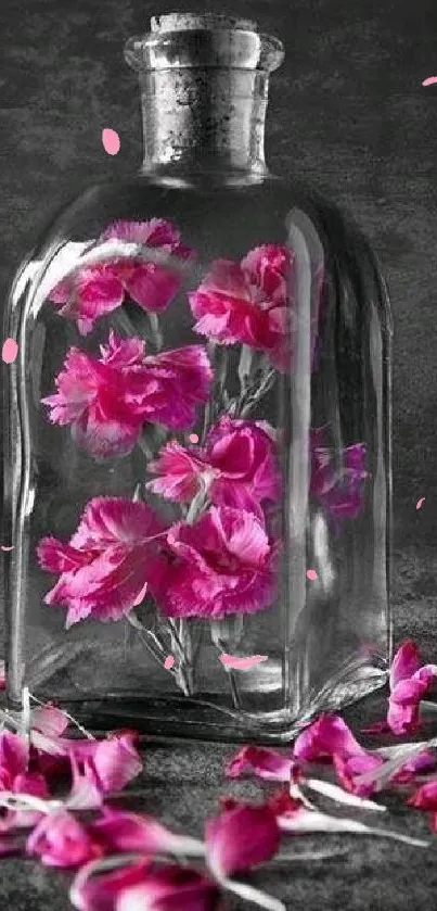 Vibrant pink flowers enclosed in a glass bottle against a dark textured background.