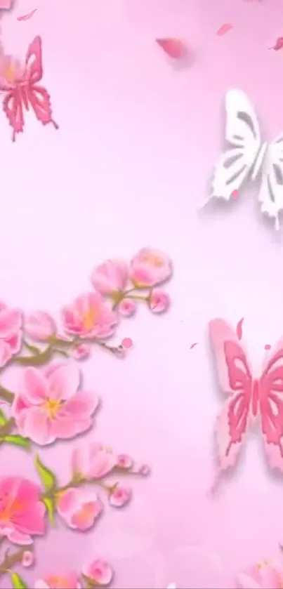 Pink wallpaper with butterflies and cherry blossoms.