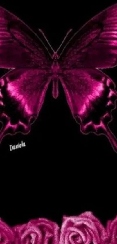 Pink butterfly and roses on black background.