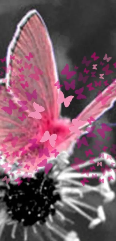 Pink butterfly on flower with vibrant artistic effect.