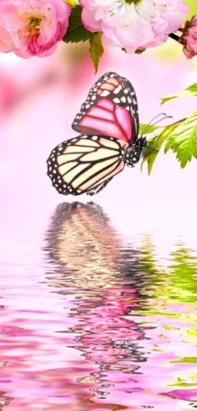 Pink butterfly and flowers with water reflection.