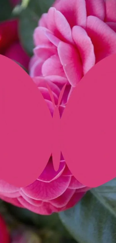 Pink butterfly on floral background wallpaper.