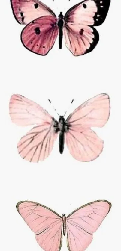 Elegant pink butterfly mobile wallpaper with delicate shades.