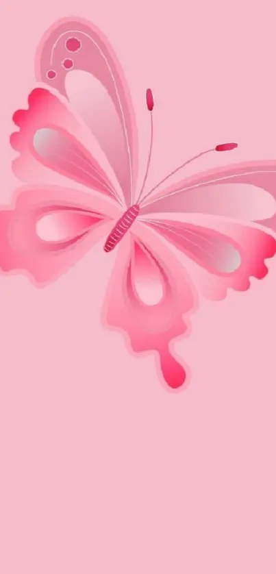 Pink butterfly on a soft pink background for phone wallpaper.