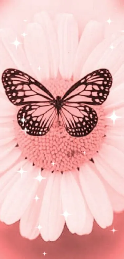 Pink butterfly sits on a daisy flower, creating a serene, elegant look.