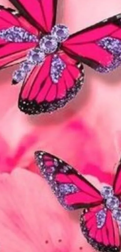 Pink butterflies on floral background wallpaper.