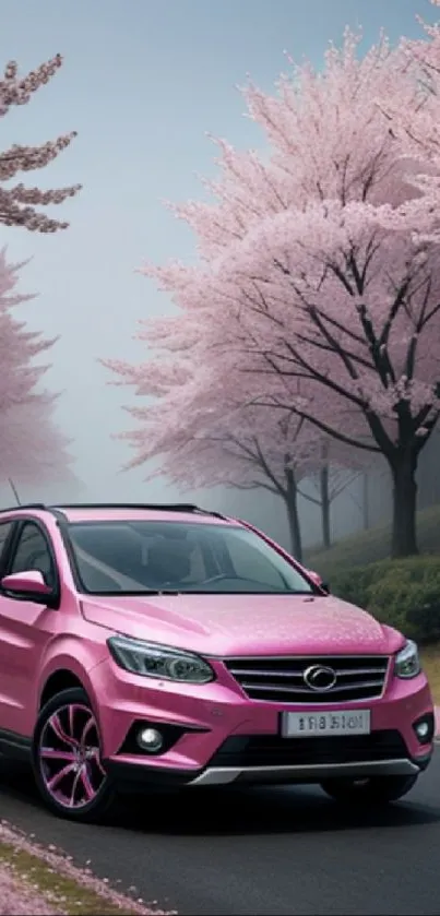 Pink car on a cherry blossom-lined road in spring.