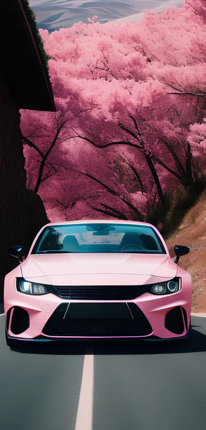 Pink car driving under cherry blossom trees.