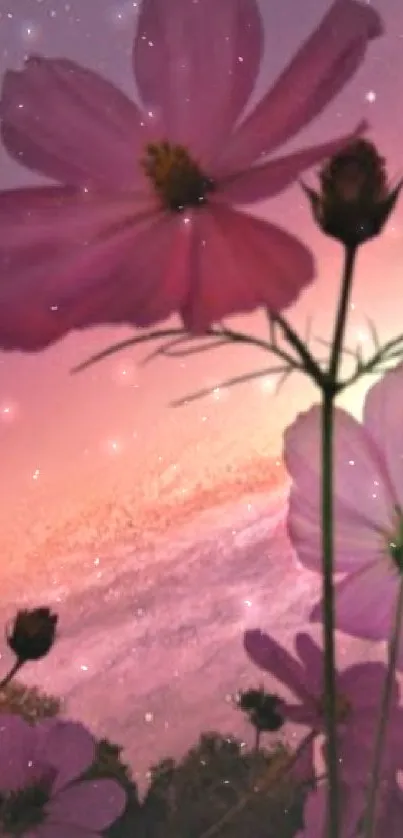 Pink flowers with a cosmic background.