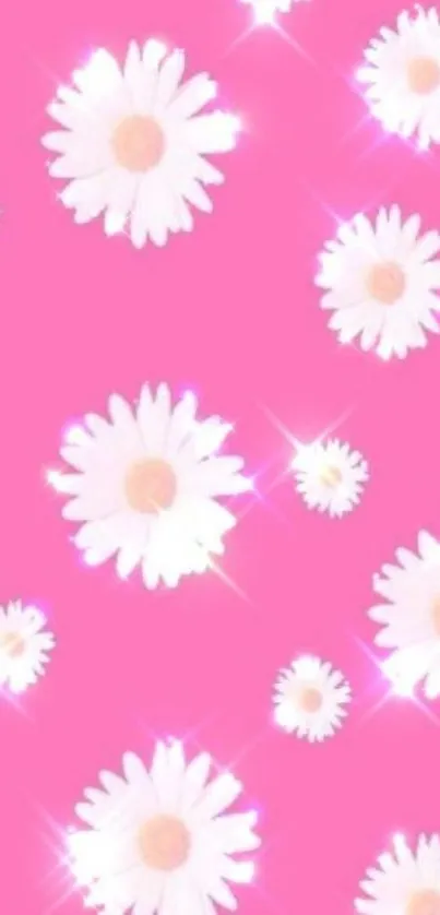 Bright pink wallpaper with sparkling white daisies.