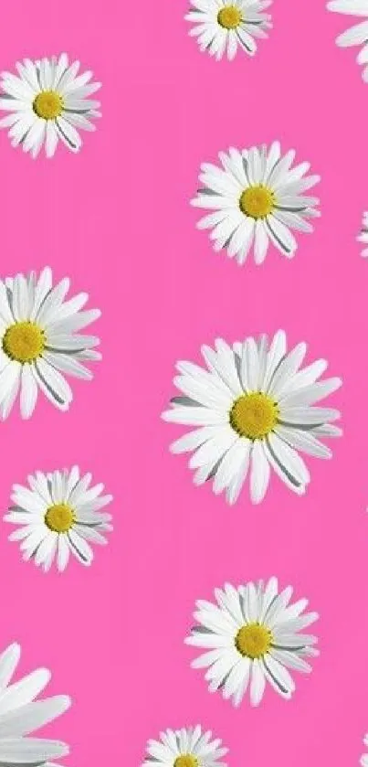 Vibrant pink wallpaper with white daisies pattern.