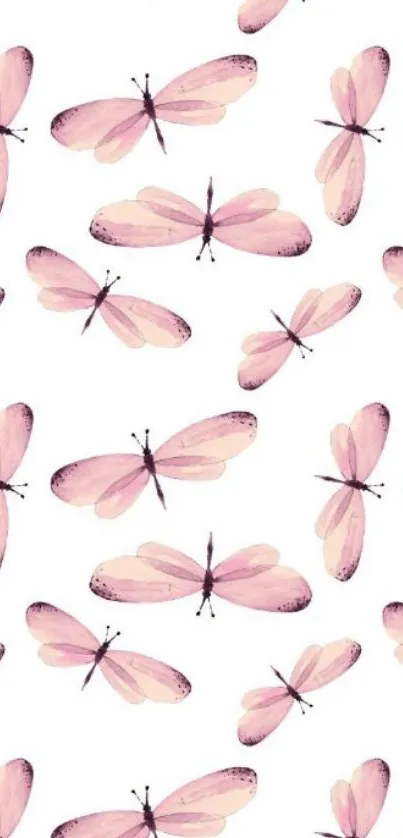 Pink dragonflies on white background wallpaper.