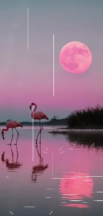 Flamingos under a pink moon in serene waters.