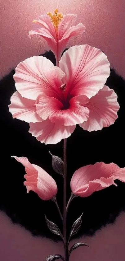 Vivid pink hibiscus flower against dark background wallpaper.