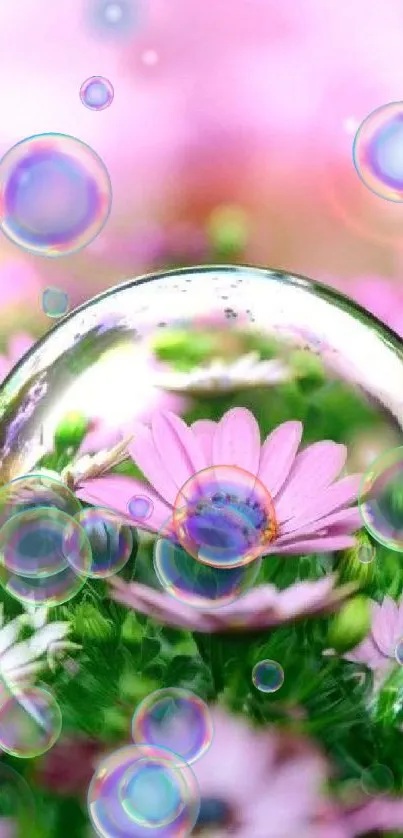 Pink flowers inside a bubble on a mobile wallpaper background.