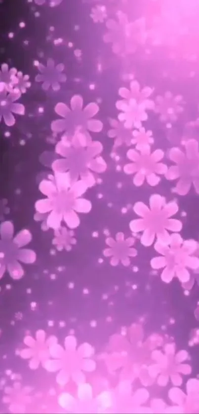 Pink floral wallpaper with glowing petals and dreamy effect.