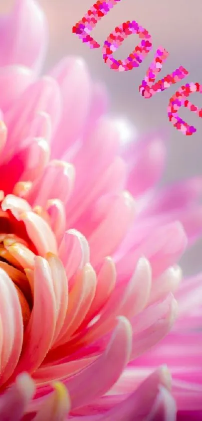 Pink flower with 'Love' text in serene background.