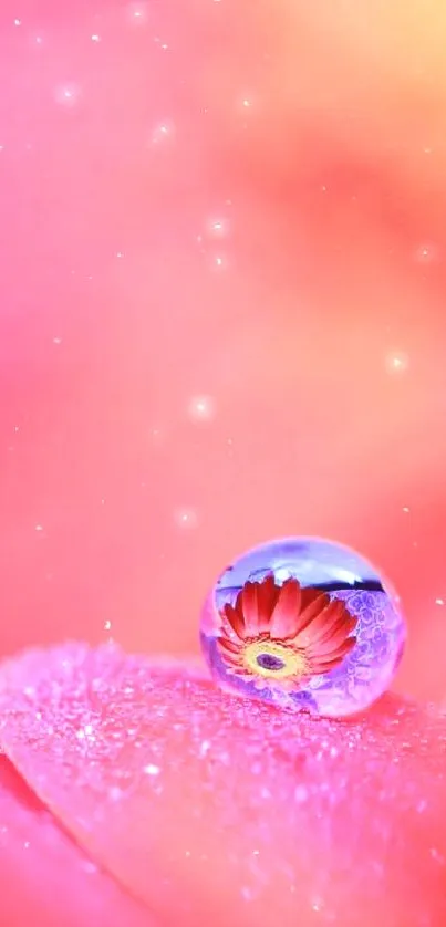 Pink flower reflection in a dew drop on vibrant wallpaper.