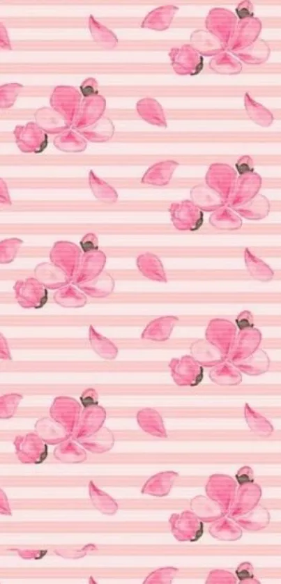 Pink orchid floral wallpaper with soft stripes.