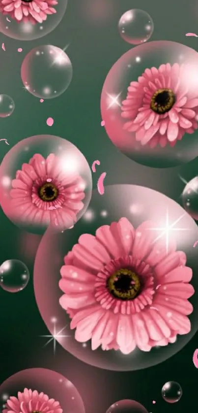 Pink flowers in transparent bubbles on a dark background.