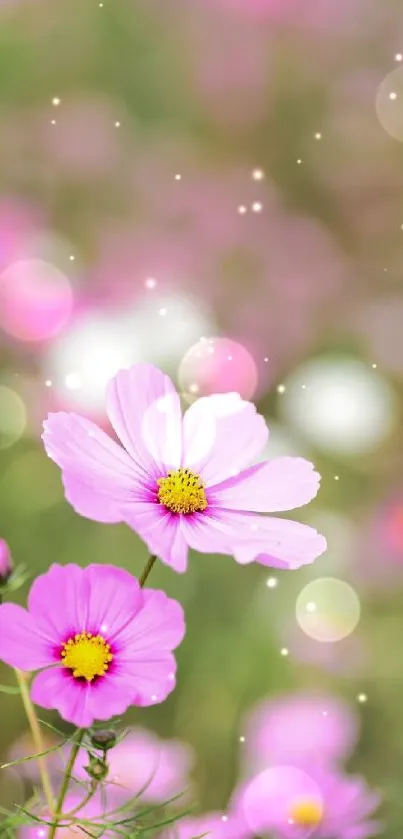 Delicate pink flowers in a serene nature setting on mobile wallpaper.