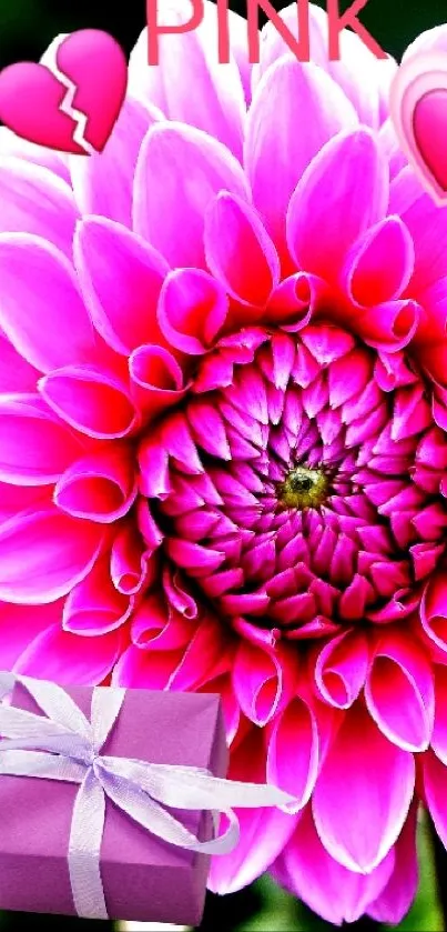 Vibrant pink flower wallpaper with green leaves for mobile.