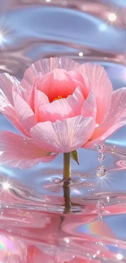 Delicate pink flower on shimmering water, sparkling in light.