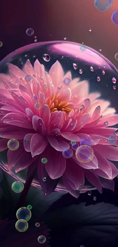 Pink flower with dewdrops in delicate bubble on a mobile wallpaper.