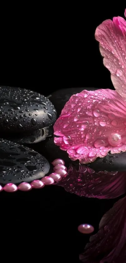 Pink flower and zen stones on reflective surface.