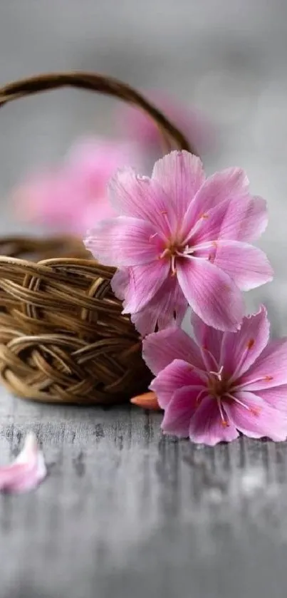 Pink flowers in a wicker basket on a rustic wooden surface.