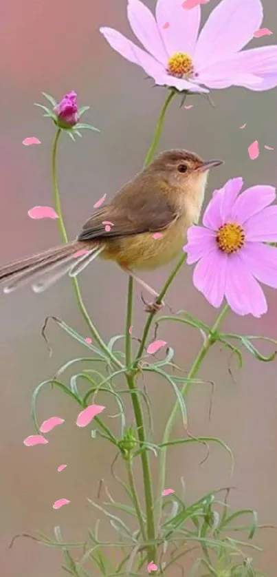 Mobile wallpaper with pink flowers and a bird.