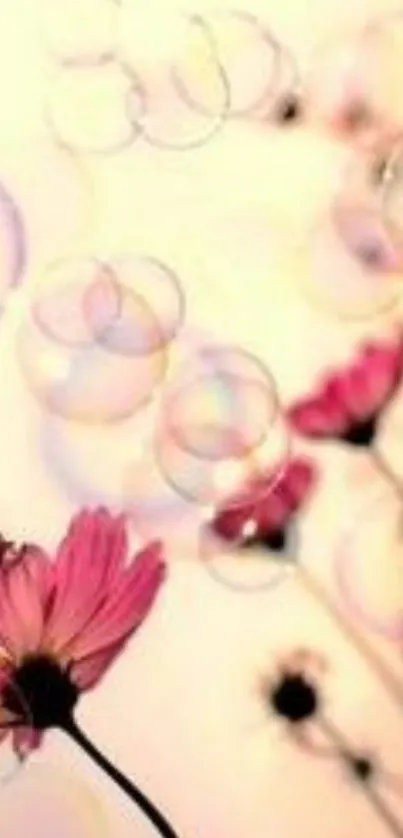 Serene pink flowers and bubbles on mobile wallpaper.