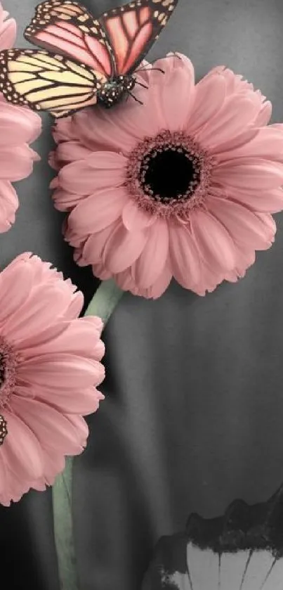 Pink flowers with butterflies on a gray background.