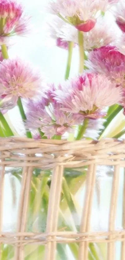 Pink flowers in wicker vase wallpaper.