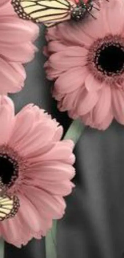 Pink flowers and butterflies on a gray background.