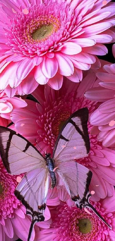 Vibrant pink flowers with a butterfly mobile wallpaper.