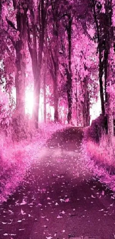 Pink forest path with vibrant trees and sunlight.