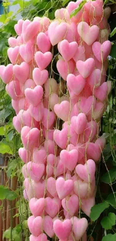 Pink heart-shaped clusters on greenery.