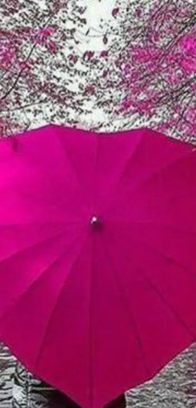 Heart-shaped pink umbrella and cherry blossoms wallpaper.