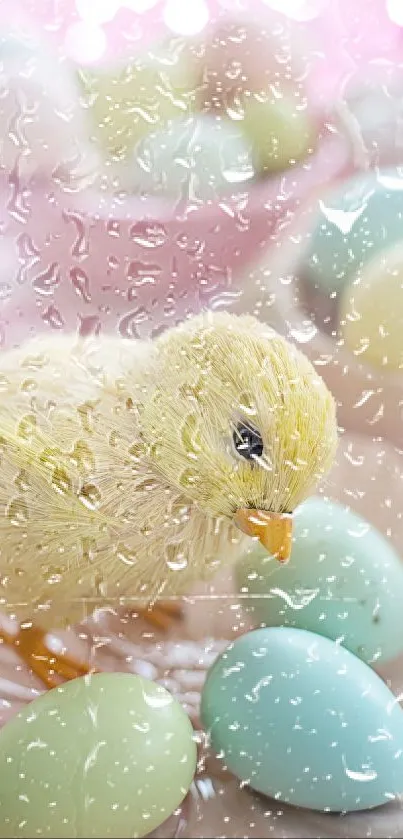 chicky Live Wallpaper