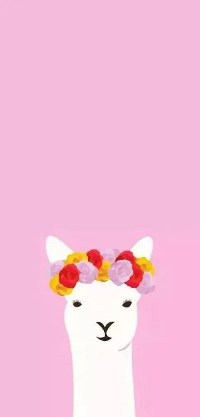 Pink wallpaper with a llama wearing a floral crown.