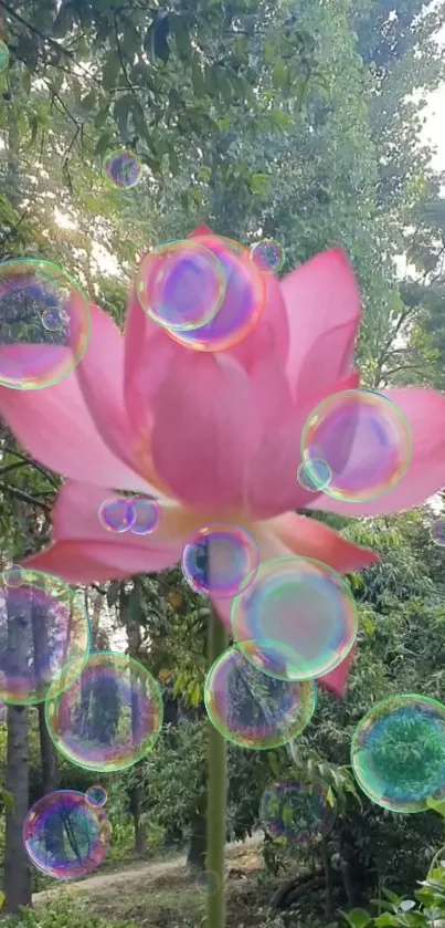 Pink lotus with colorful bubbles in lush greenery background.