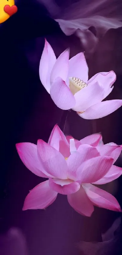 Pink lotus flowers with a winking emoji on a dark background.