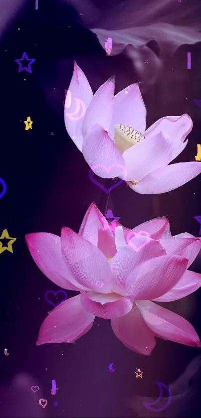 Pink lotus flowers with stars on a purple background.