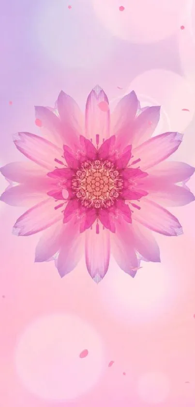 Pink lotus flower on a pastel background.