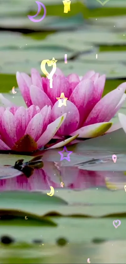 Pink lotus flowers on water with serene reflections.