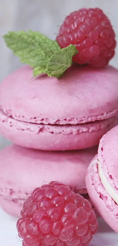 Pink macarons with raspberries and mint leaf on a soft background.