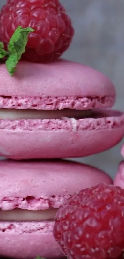 Pink macarons with raspberries and mint leaves on grey background.