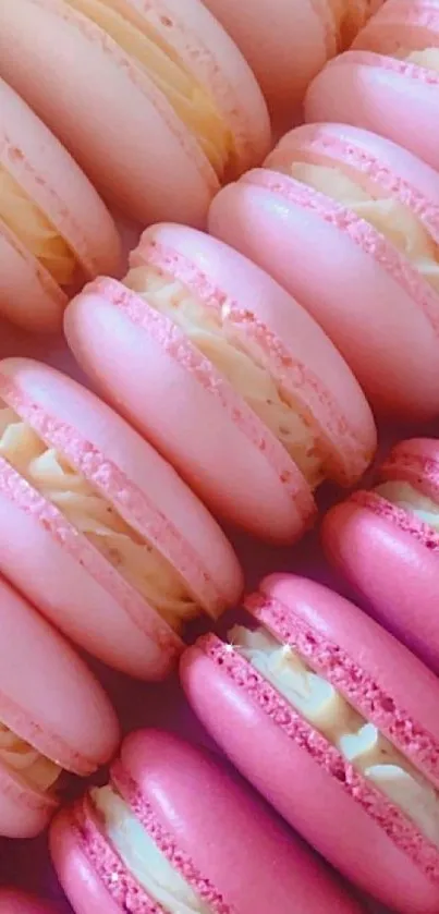 Rows of elegant pink macarons as mobile wallpaper