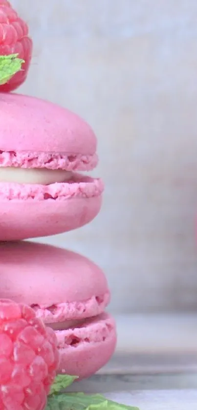 Pink Macarons and Raspberries - free download